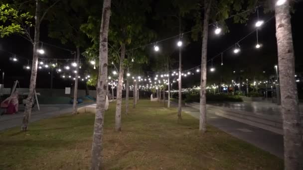 Decoração de vista noturna no parque — Vídeo de Stock