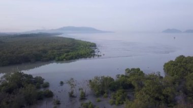 Malezya 'nın Penang kıyısındaki hava manzaralı mangrov bataklığı..