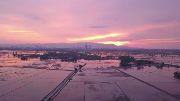 Vue Aérienne Coucher Soleil Spectaculaire Sur Une Rizière Inondable Dans — Video