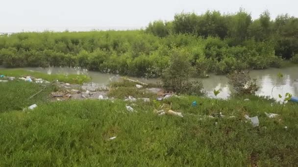 Vuilnisbelt Bij Mangrove Coast Maleisië — Stockvideo