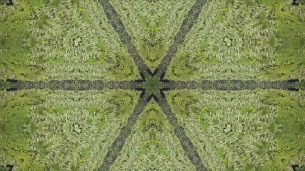 Los Árboles Verdes Caleidoscopio Mueven Patrón Ilusión Animación Abstracta — Vídeos de Stock