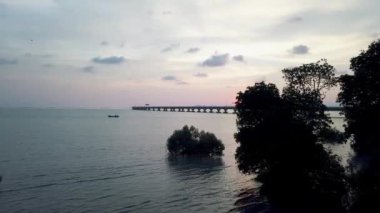Gün batımında Mangrov ağacının üzerinden Penang İkinci Köprüsü 'ne doğru uçuyor..