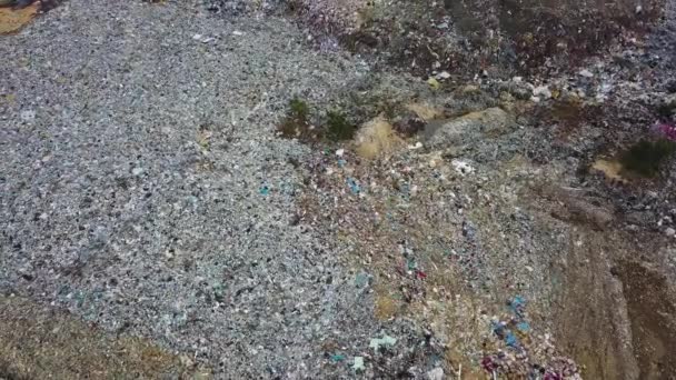 Letecký Pohled Egret Ptáci Přeletět Odpadky Skládky Malajsii — Stock video
