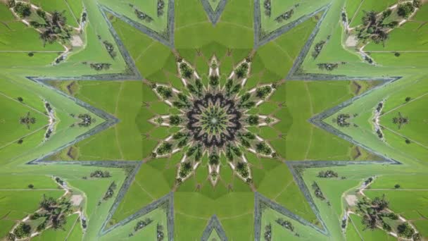 Kaleidoscoop Groene Plant Veld Illusie Abstract Effect — Stockvideo