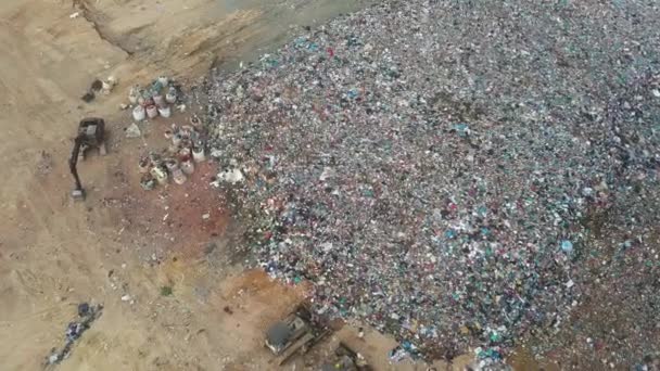 Dumping Site Van Witte Zilverreigers Vliegen Buurt Van Graafmachine Maleisië — Stockvideo