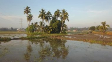 Suyla çevrili hindistan cevizi tarlasına doğru uç..