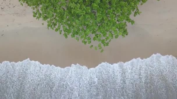 Воздушный Взгляд Вниз Волна Ударила Песок — стоковое видео