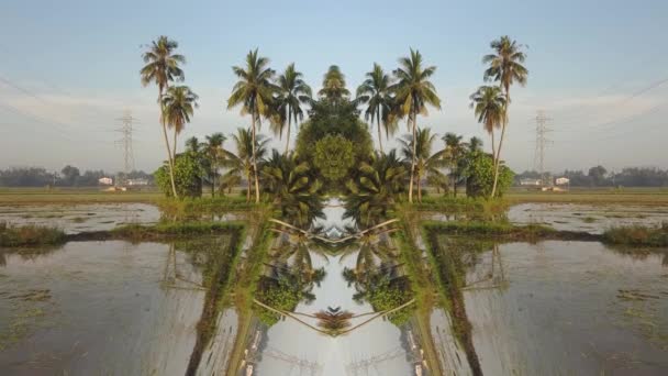 Optical illusion kaleidoscopic pattern of coconut trees in outdoor.