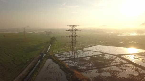 Volar Hacia Torre Eléctrica Arrozal — Vídeo de stock