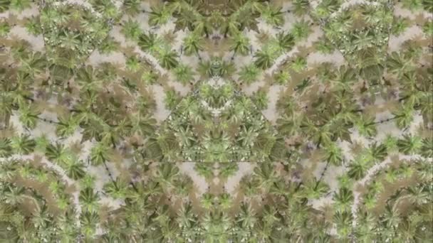 Kaleidoscopic pattern optical illusion palm tree.