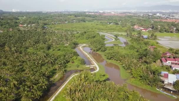 Flygfoto Flyga Över Floden Landsbygden Penang — Stockvideo