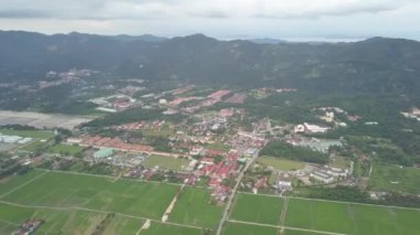 Penang, Balik Pulau 'da hava manzaralı yeşil çeltik tarlası.