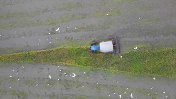 Top Para Baixo Vista Trator Arado Campo Paddy — Vídeo de Stock