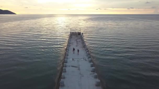 Vecchia Coppia Piedi Ponte Con Cane Durante Ora Del Tramonto — Video Stock