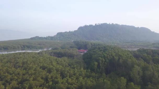 Drone Disparó Bosque Manglares Cerca Penang — Vídeos de Stock