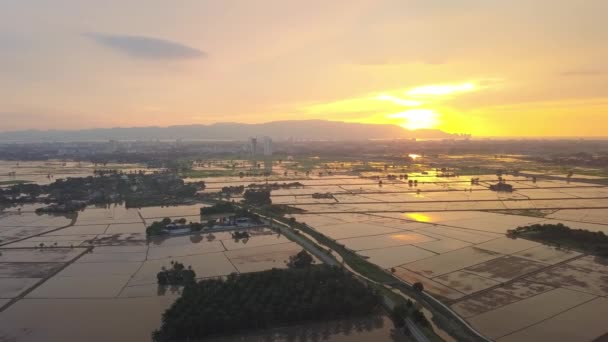 马来西亚槟城稻田壮观的日落景观 — 图库视频影像