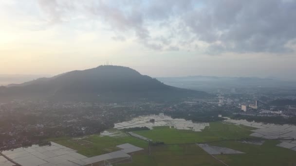 Vista Aerea Bukit Mertajam Città Con Campo Risaia Verde — Video Stock