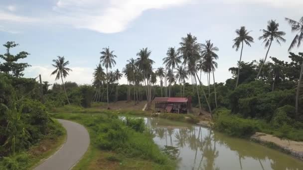 Αεροφωτογραφία Ξύλινη Καλύβα Κοντά Στο Ποτάμι Στο Balik Pulau Penang — Αρχείο Βίντεο