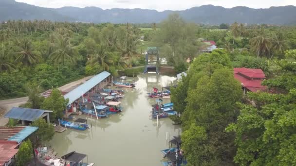 Desa Nelayan Sungai Burung Pulau Pinang Pemandangan Hijau — Stok Video