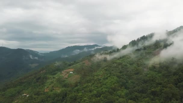 Uitzicht Vanuit Lucht Een Groenteboerderij Penang Hill — Stockvideo