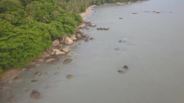 Deniz kıyısındaki kaya ve kumsalın izini sürüyorum. Hindistan cevizi palmiyeli yeşil manzara.