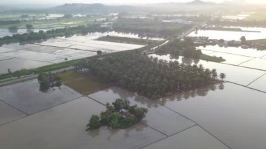 Suyla çevrili hava izleme yağı palmiyesi tarlası..
