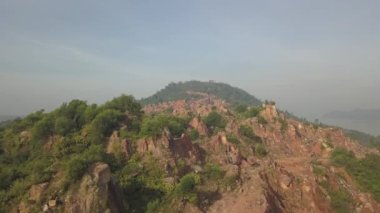 Sarı toprak için yeşil ormanın tahrip edilmesi.