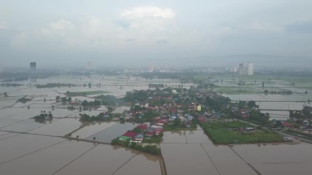 多雾的早晨 空中看到被水淹的稻田包围的小马来西亚人村庄 — 图库视频影像