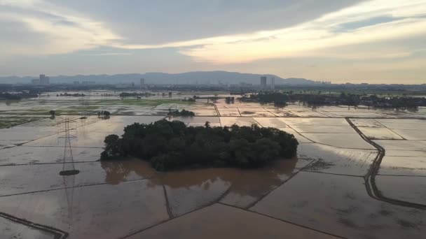 马来西亚落日落山水稻田 — 图库视频影像