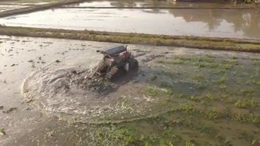 Gün batımında traktör sürüşünü takip et.