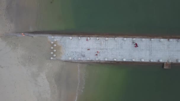 Luchtfoto buitenlandse toeristen paar dragen honden lopen op brug bij Batu Ferringhi. — Stockvideo