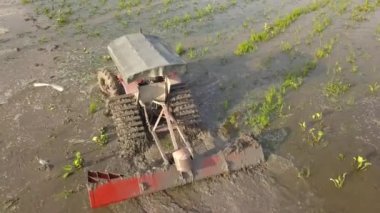 Pirinç tarlasında traktör sürüşünü takip et.