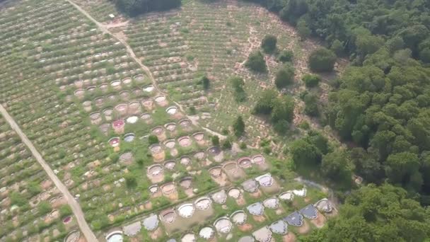 Vista aerea tomba cinese a Kubang Semang. — Video Stock