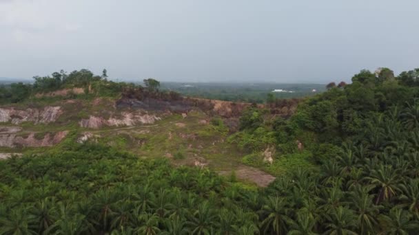 Arbre Colline Est Abattu Brûlé Déforestation Aérienne — Video