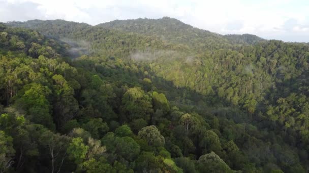 Sabahleyin Malezya Yağmur Ormanlarında Hava Manzarası Sisli Sabah Güneşi — Stok video