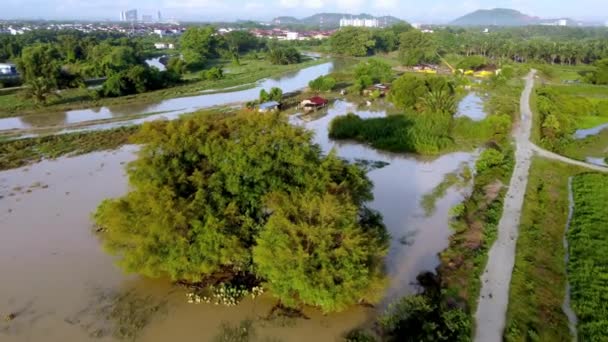 Kampung Daki Sabah Yağmur Suyuyla Doldu — Stok video