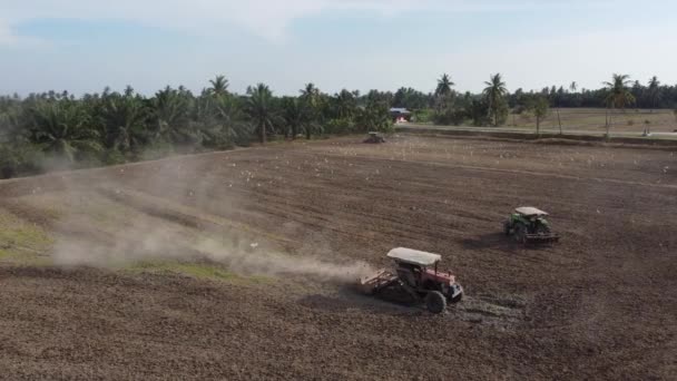 Traktoren pflügen das Reisfeld — Stockvideo