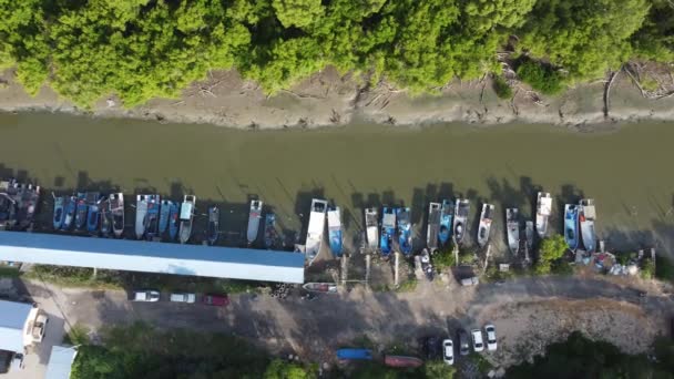 Повітряний вид групи риболовецького парку — стокове відео