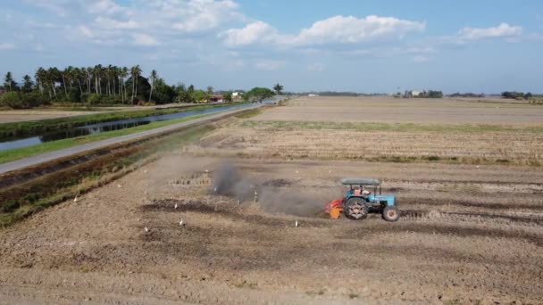 水田を耕すトラクターの農民 — ストック動画