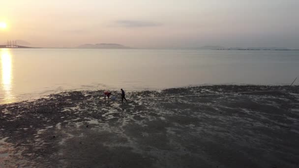 Pohled na oběžnou dráhu lidé kopat svorku na moři — Stock video