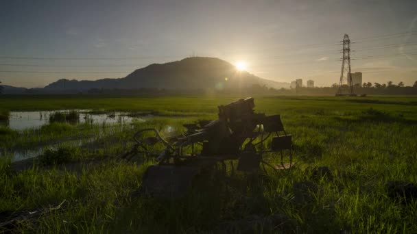 Timelapse Uitzicht Zonsopgang Ochtend Rijstveld Zonnig Zonlicht Trekker — Stockvideo