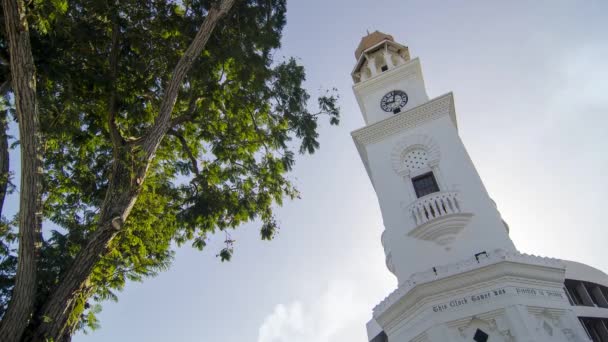 Timelapse view Queen Victoria Memorial Clock Tower beside tree — Stock Video