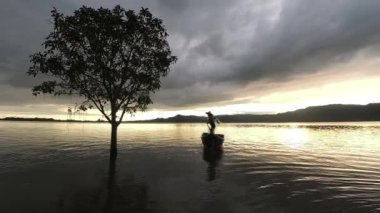 Yavaş çekim 400fps balıkçısı Perlis, Malezya 'da bir ağaçla ağı göle fırlattı..