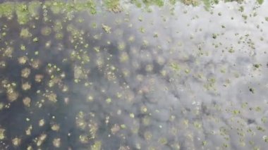 Batu Kawan, Penang, Malezya 'da hava manzaralı bataklık.