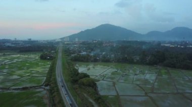KTM treni Bukit Mertajam, Penang, Malezya 'ya doğru çeltik tarlasından geçiyor..