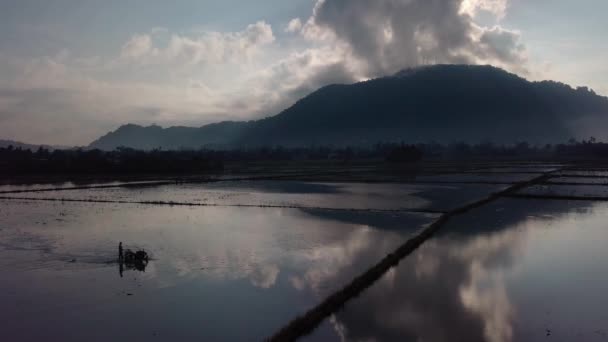 Letecký Pohled Zemědělci Pěstují Rýžové Pole Traktorem Dopoledních Hodinách Bukit — Stock video