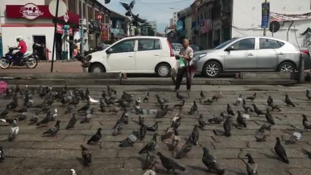 Georgetown Penang Malásia Outubro 2018 Ancião Dando Comida Aos Pombos — Vídeo de Stock