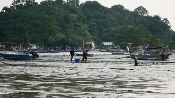 Georgetown Penang Malasia Oct 2018 Pescador Vuelta Casa Con Cosecha — Vídeos de Stock