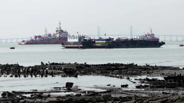 Georgetown Penang Malaysia Oct 2018 Broken Wood Ship Sea Penang — стокове відео