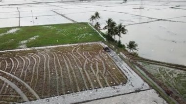 Bukit Mertajam, Penang, Malaysia - Nov 30 2018: White crane follow at the back of machine tractor during plowing season.